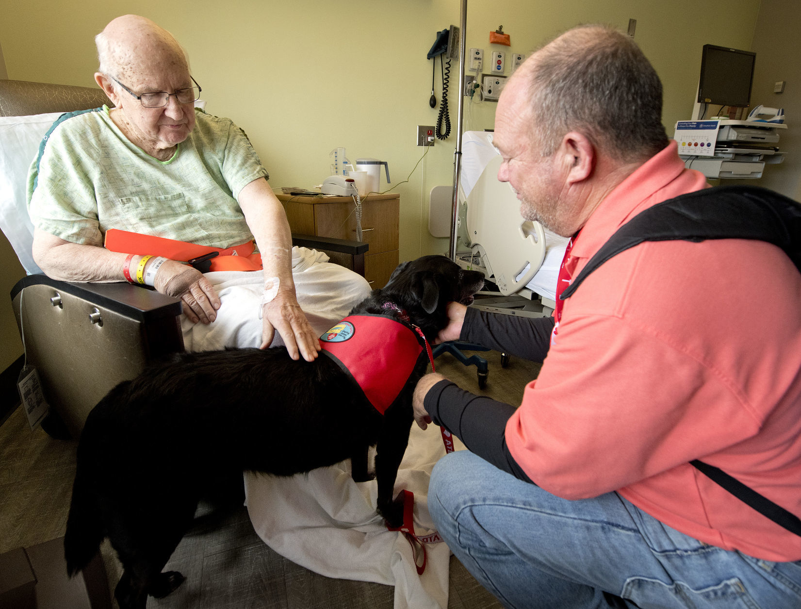 Hospital pet therapy